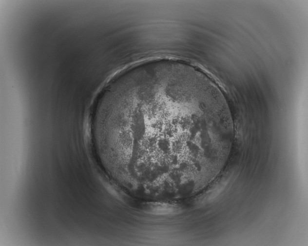 X0000115550347200911061537