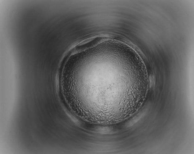 X0000115550349200911061537
