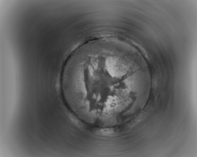 X0000115550353200911061537