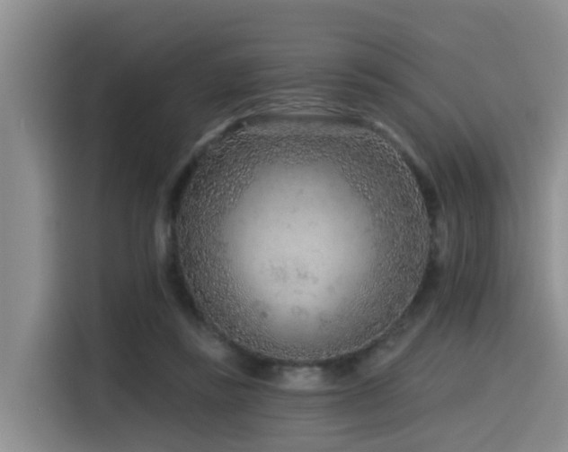 X0000115550355200911061537