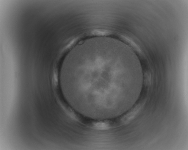 X0000115550358200911061537
