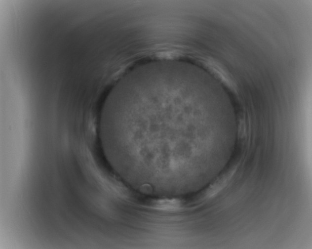 X0000115550363200911061537