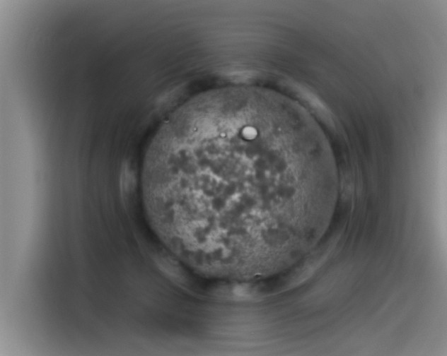 X0000115550365200911061537