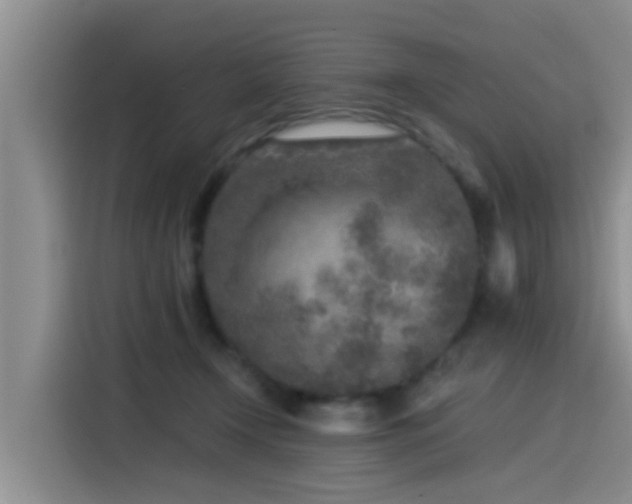 X0000115550366200911061537