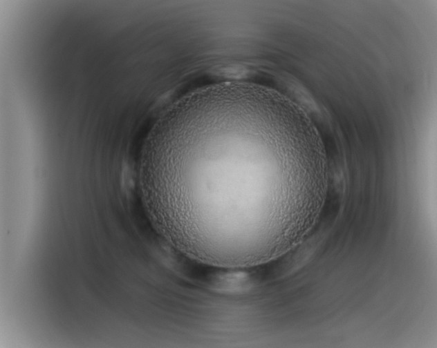 X0000115550374200911061538