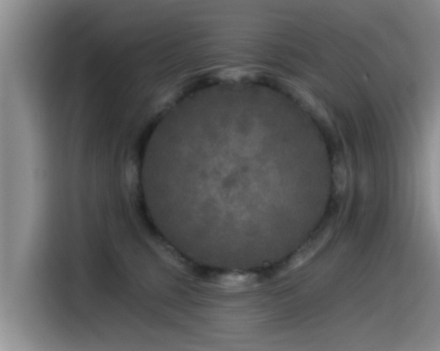 X0000115550375200911061538