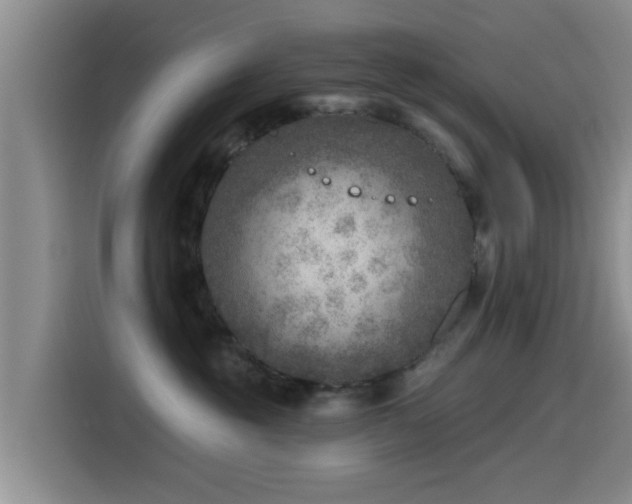 X0000115550381200911061538