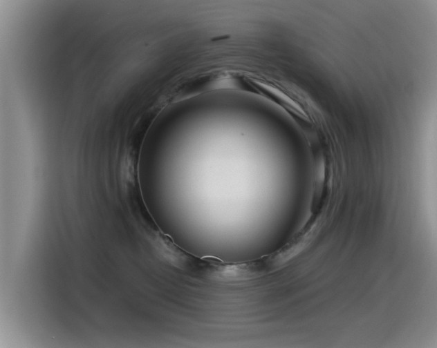 X0000115550382200911061538
