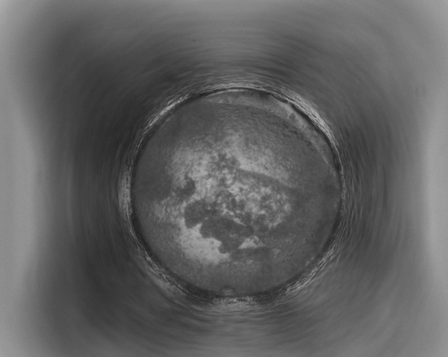X0000115550386200911061537