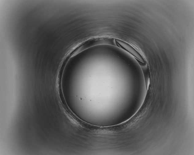 X0000115550389200911061537