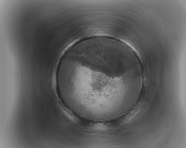 X0000115550390200911061537