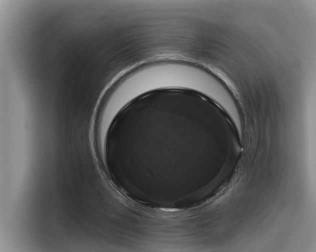 X0000115550391200911061537