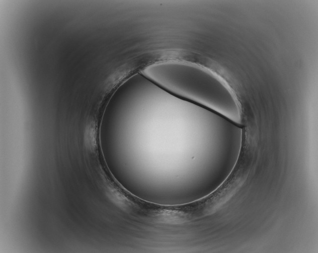 X0000115550393200911061537