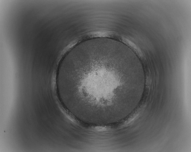 X0000115550394200911061537