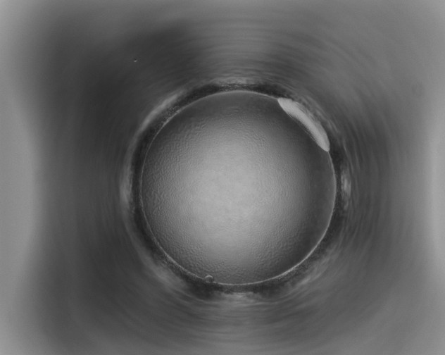 X0000115550396200911061537