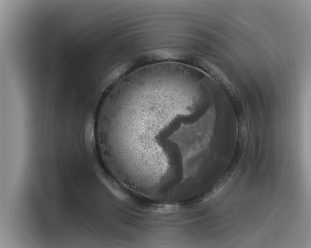 X0000115550398200911061537