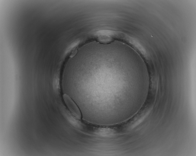X0000115550399200911061537