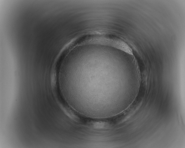 X0000115550400200911061537