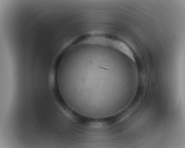 X0000115550404200911061537