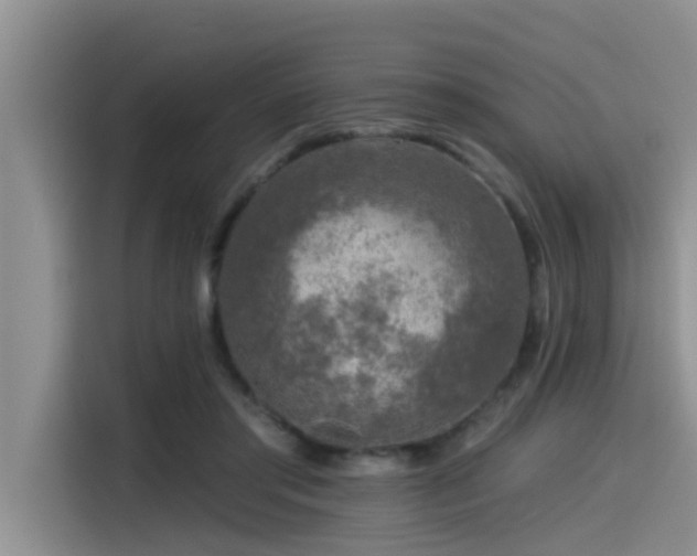 X0000115550405200911061537