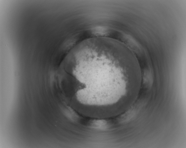 X0000115550409200911061537