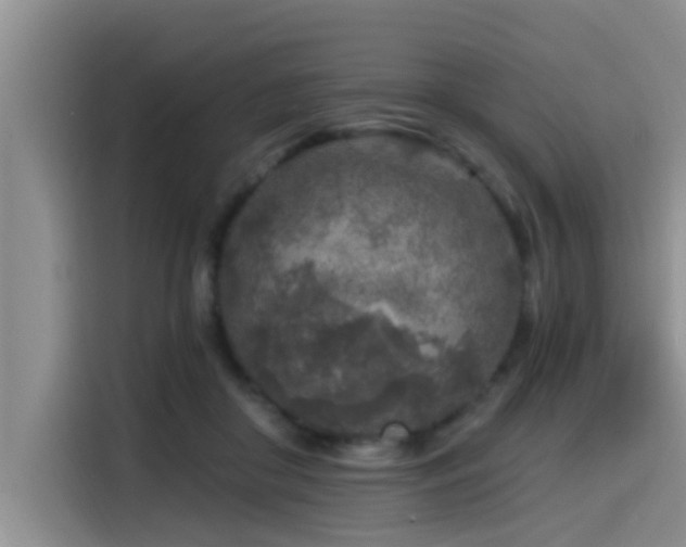 X0000115550410200911061537