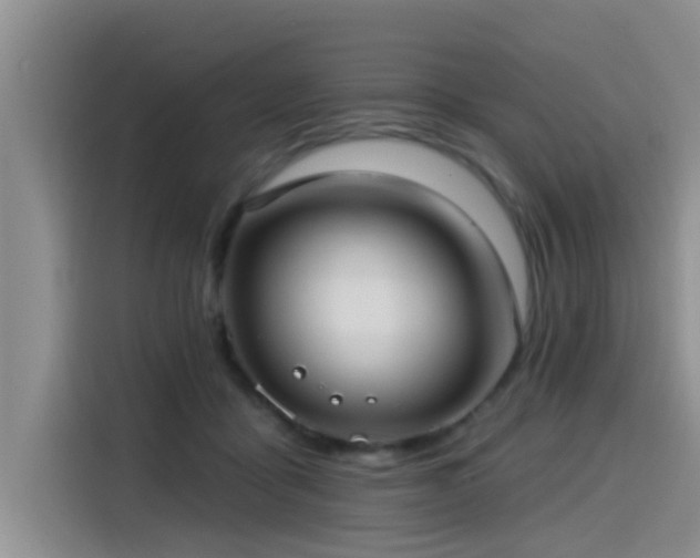 X0000115550411200911061537