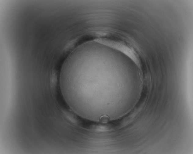 X0000115550412200911061537
