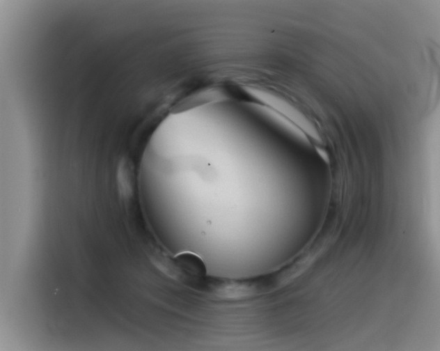 X0000115550413200911061537