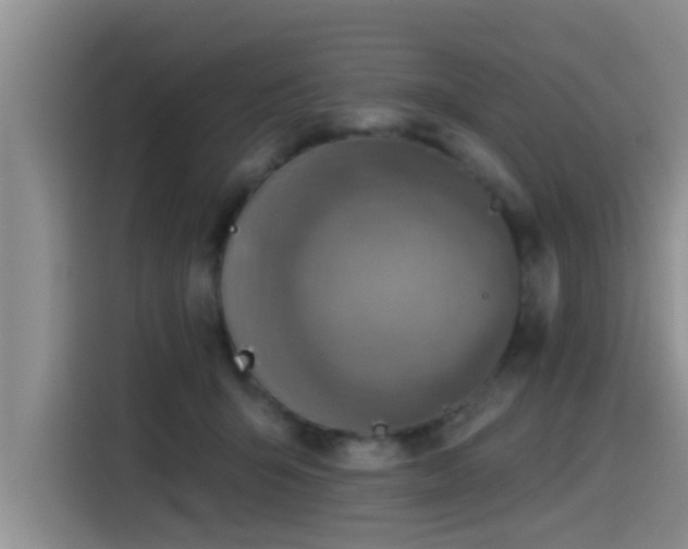 X0000115550415200911061537