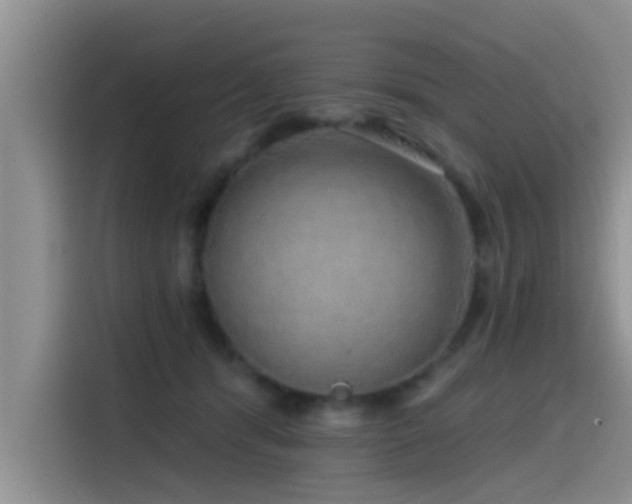 X0000115550416200911061537