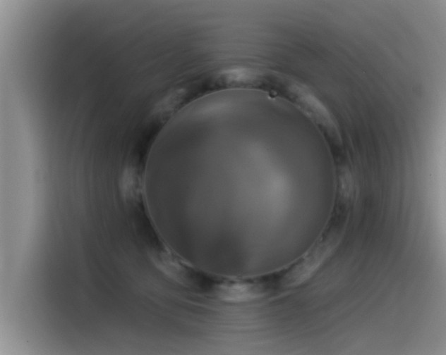 X0000115550419200911061537