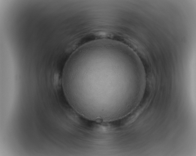 X0000115550420200911061537