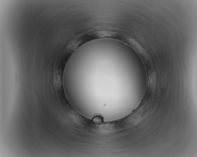 X0000115550426200911061537