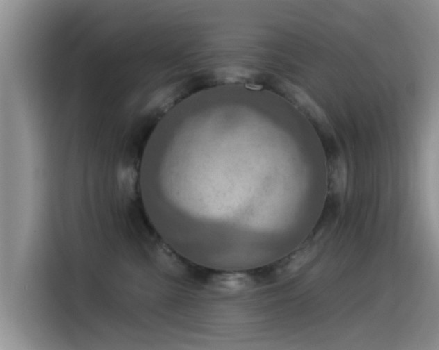 X0000115550427200911061537