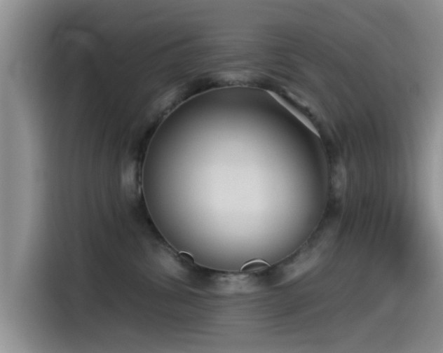 X0000115550428200911061537