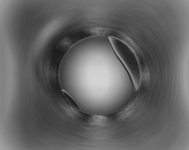 X0000115550429200911061536