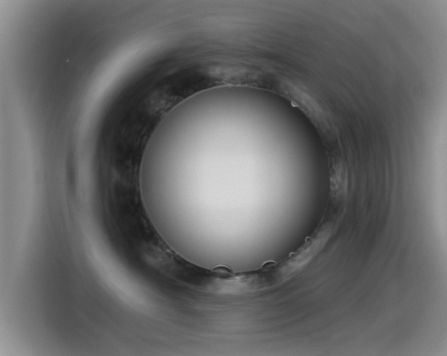 X0000115550430200911061536