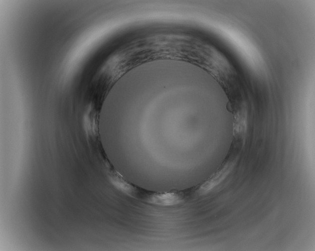 X0000115550431200911061536