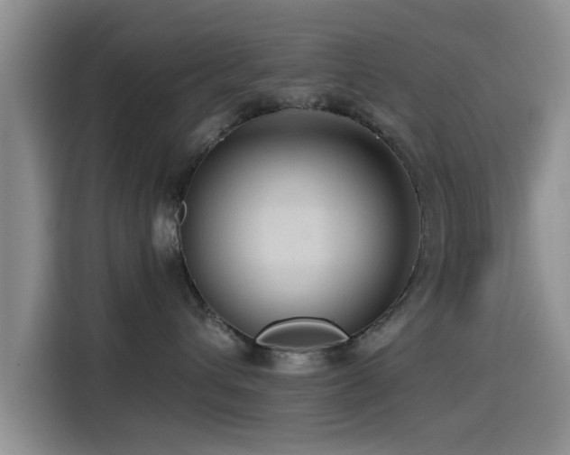 X0000115550432200911061536