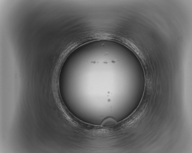 X0000115550433200911061536