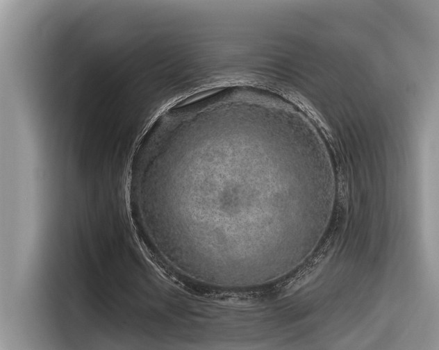 X0000115550434200911061536