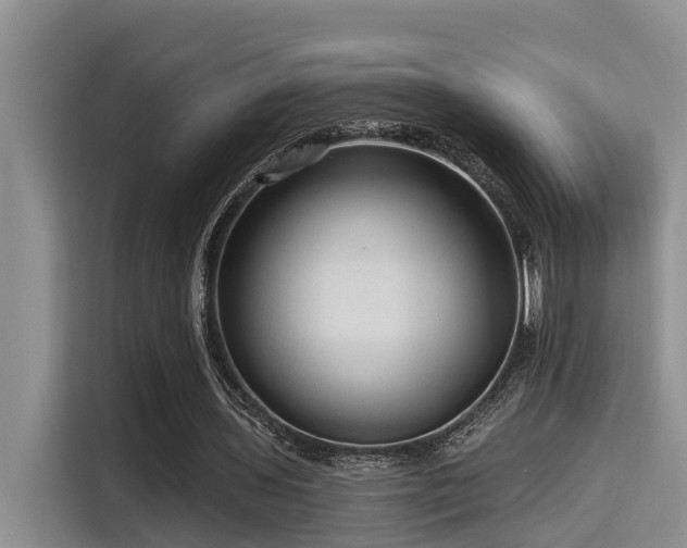 X0000115550435200911061536