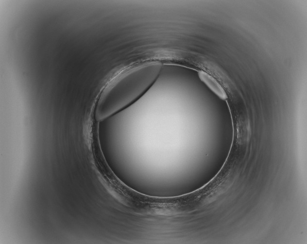 X0000115550436200911061536