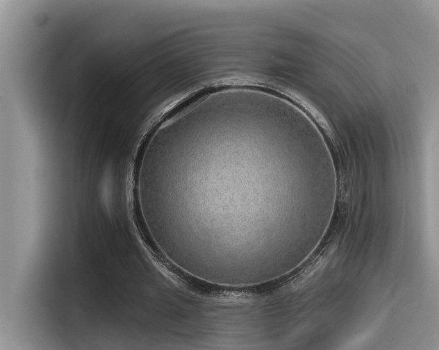X0000115550437200911061536