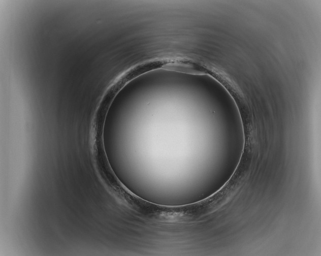 X0000115550440200911061536