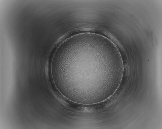 X0000115550442200911061536