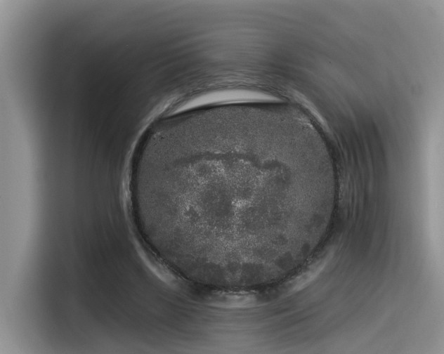 X0000115550443200911061536