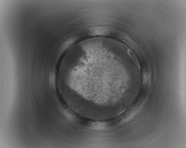 X0000115550444200911061536
