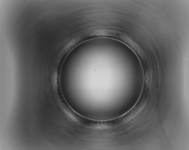 X0000115550445200911061536
